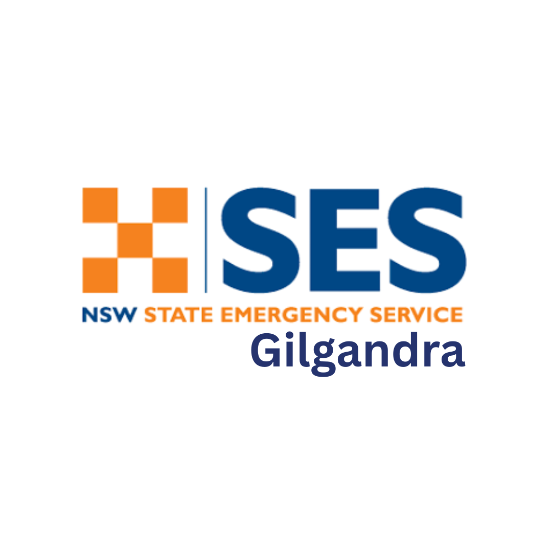 SES